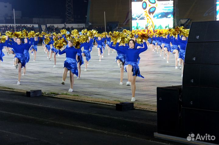 Звук аренда прокат линейный массив