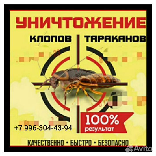 Уничтожение тараканов, клопов, муравьёв и др.насек