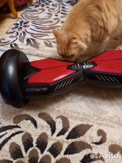 Гироскутер бу