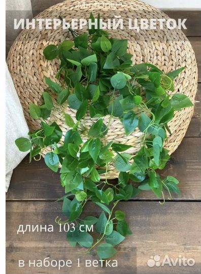 Искусственные растения для декора