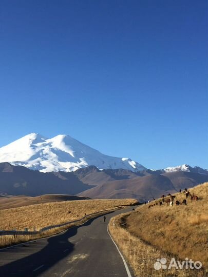 Экскурсии на джилы су и бермамыт Домбай и Эльбрус