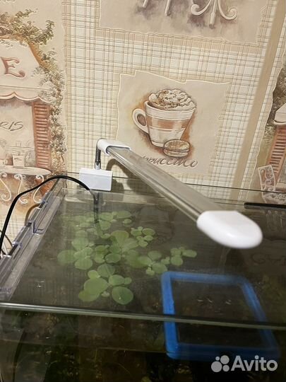 Светильник для аквариума