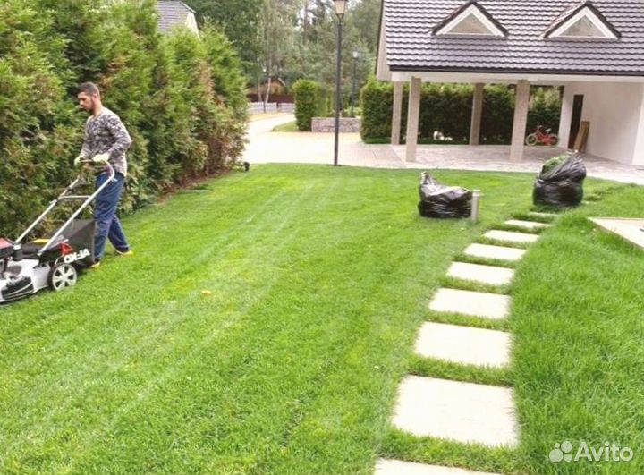 Рулонный газон 