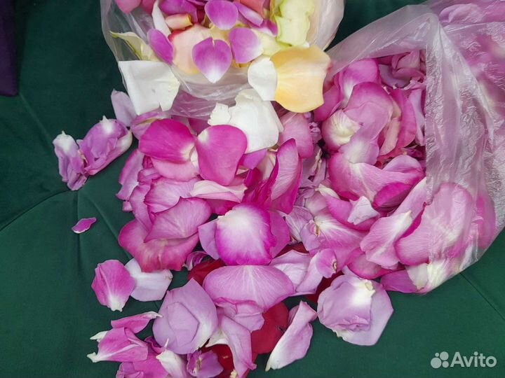 Лепестки роз