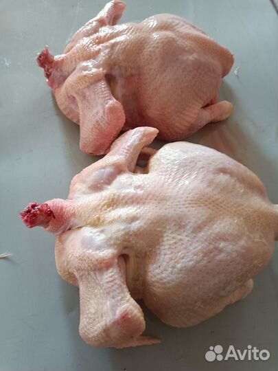 Мясо кур бpойлеров, вкусные и сочные куры гриль