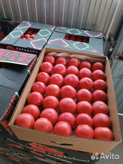Помидоры томат