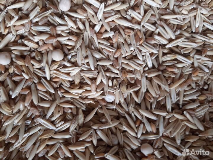 Зерносмесь (горох, овёс, пшеница, ячмень. )