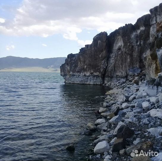 Туры по Горному Алтаю и Монголии