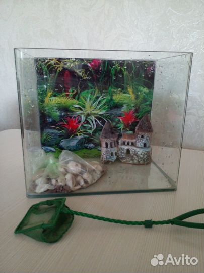 Аквариум
