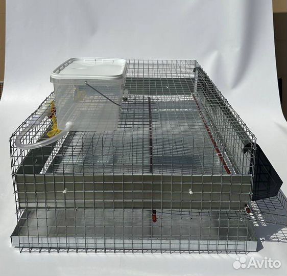 Клетка для 50 перепелов