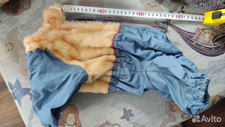 Одежда для собак
