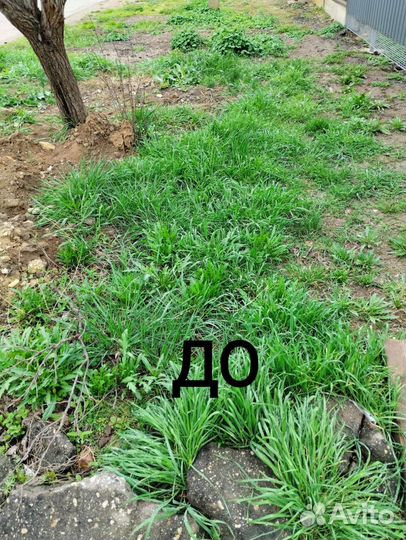 Покос травы, уборка участков