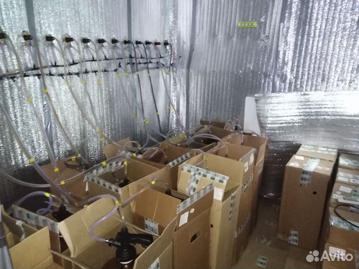 Магазин разливных напитков