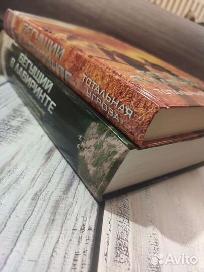 Джеймс Дэшнер. Бегущий в лабиринте