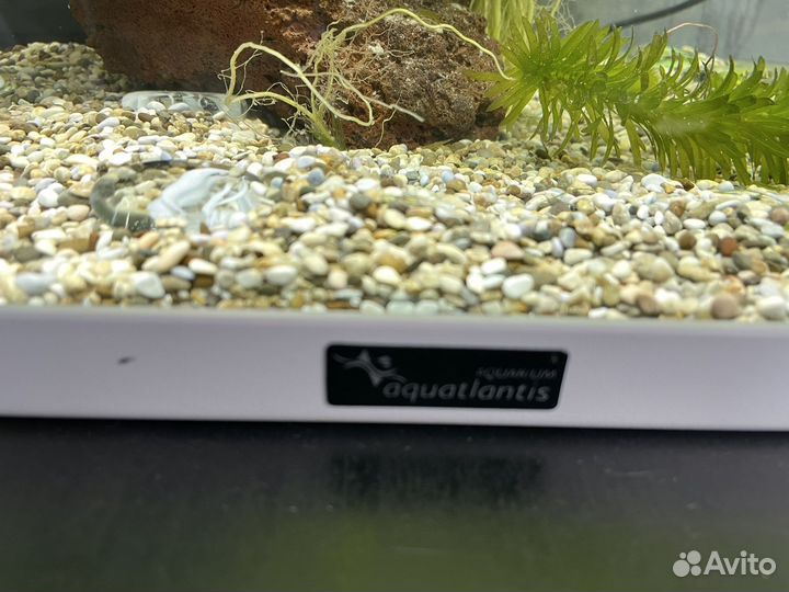 Аквариум на 50 литров