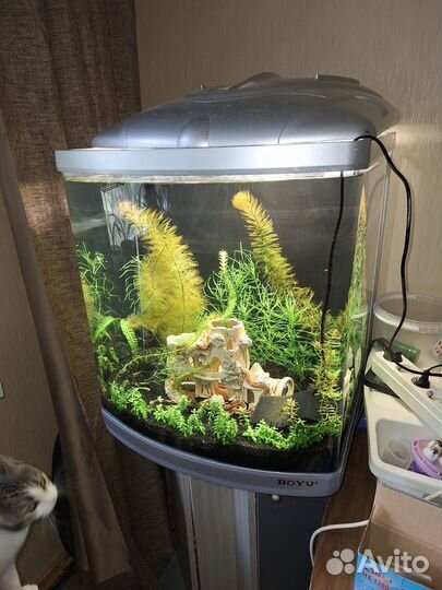 Аквариум панорамный с тумбой