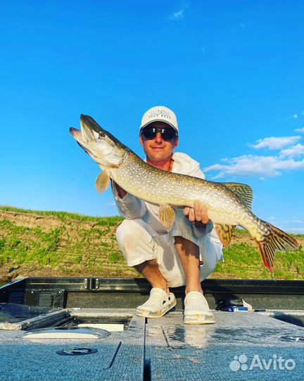 Рыболовный гид на Оке