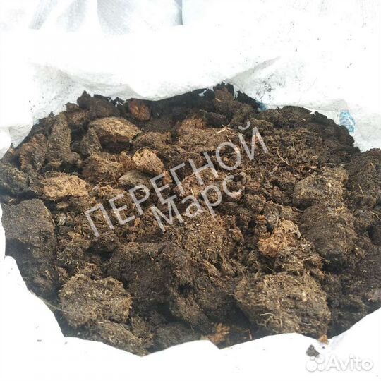 Перегной, Чернозем