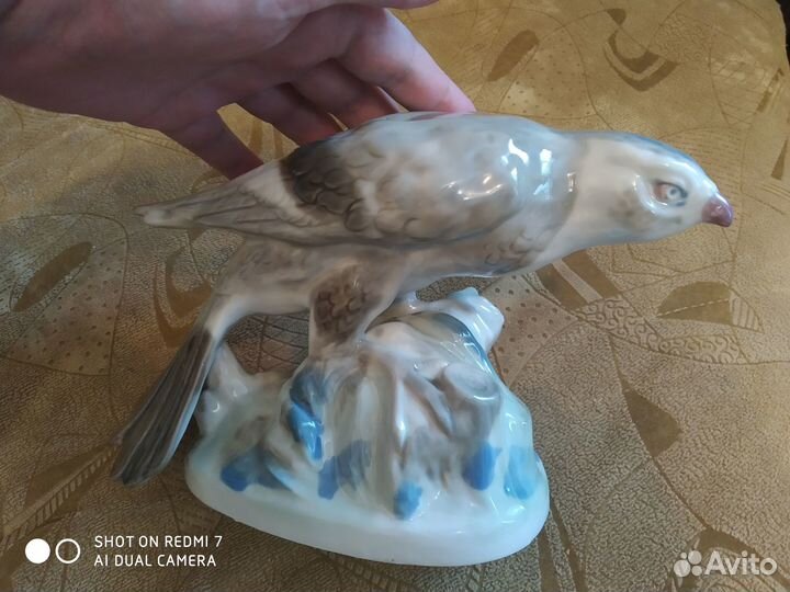 Сокол или коршун Городница до 60года СССР