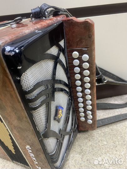 Гармонь чайка 2