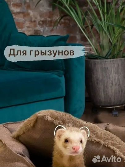 Лежанка для кота, собаки двусторонняя