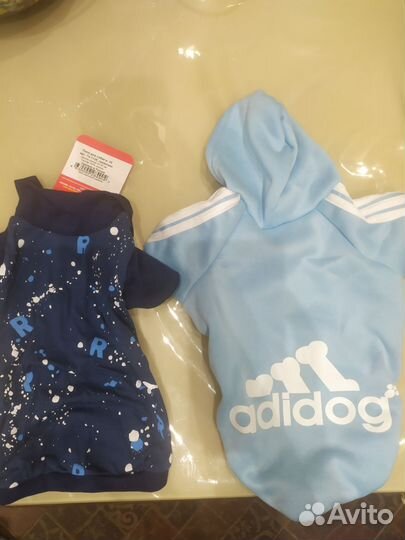 Костюм на собаку