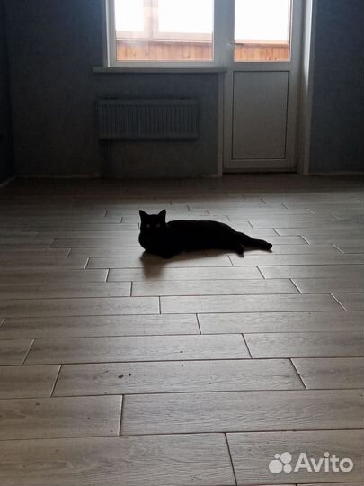 Плиточник