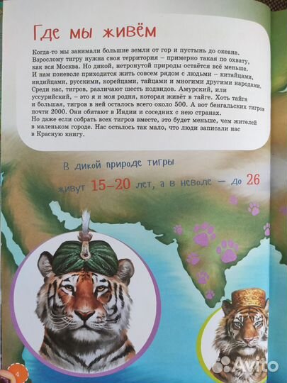 Я тигр. Книги о животных. Animalbooks