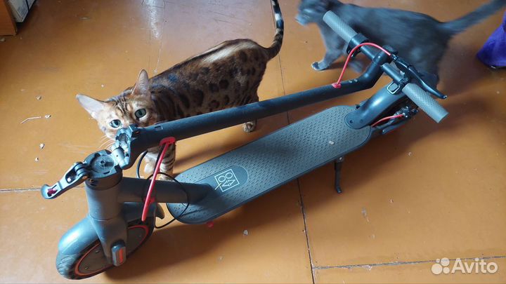 Электросамокат aovo M365 Pro