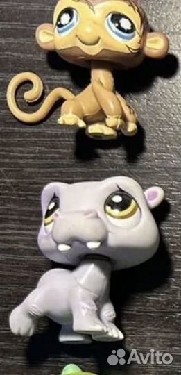 Littlest Pet Shop