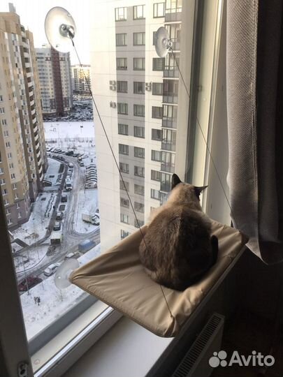 Лежанка для кошек новая, подвесная