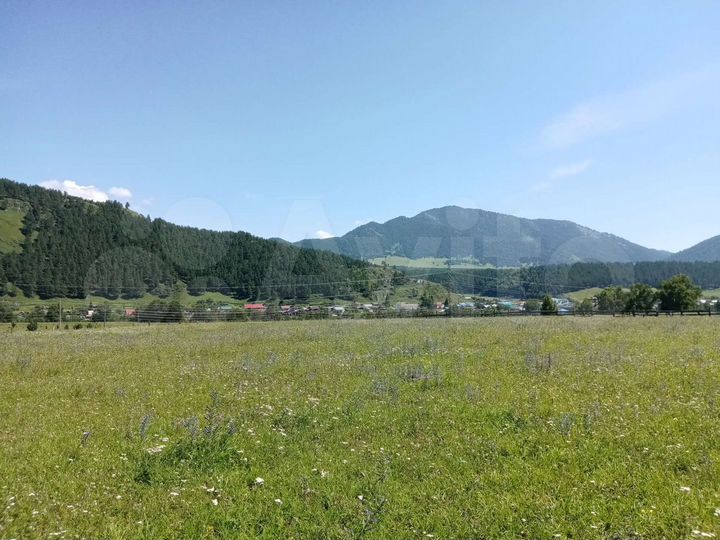 Участок 10 сот. (СНТ, ДНП)