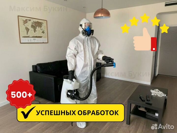 Уничтожение тараканов и клопов. Обработка участка