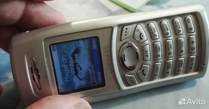 Samsung SGH-C100/C110 всего 2 штуки