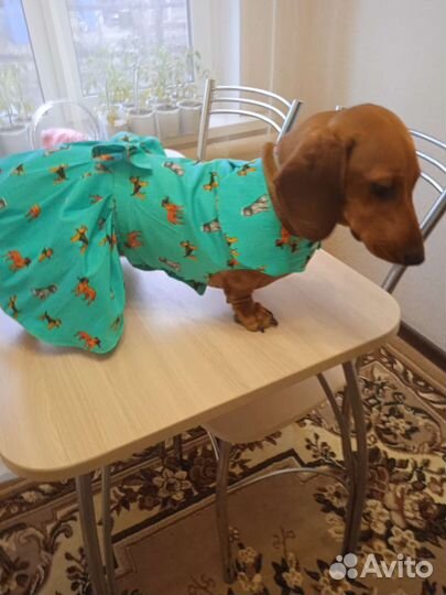 Платье для таксы