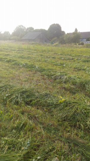 Участок 25 сот. (ИЖС)