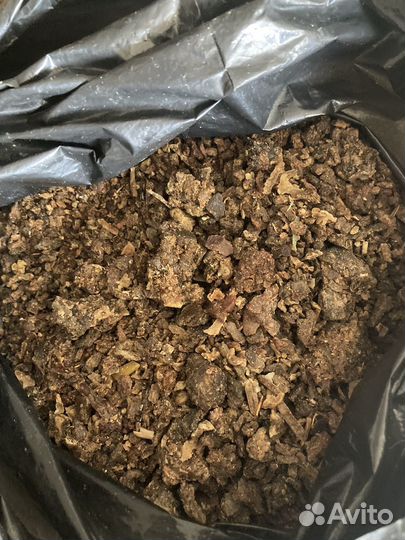 Прополис пчелиный