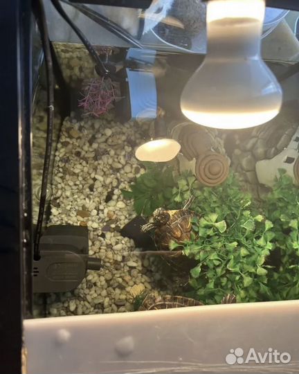 Аквариум 70 литров