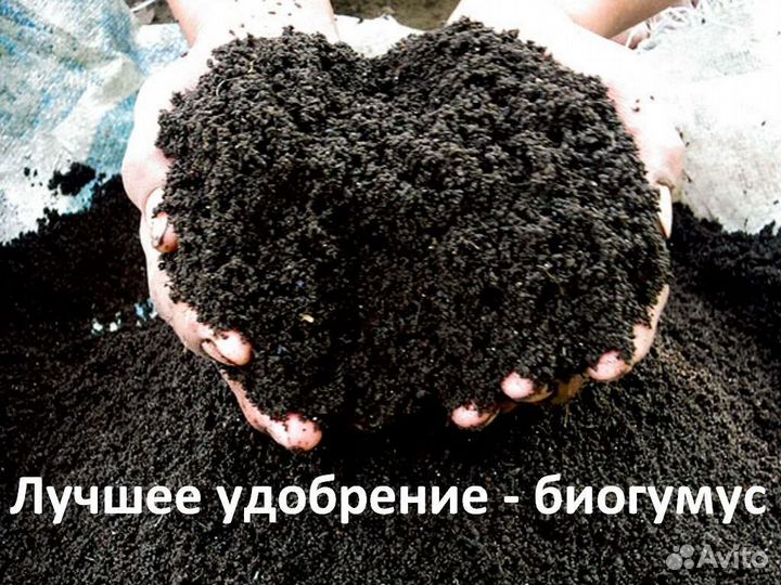 Биогумус в мешках