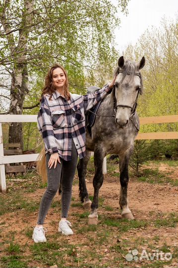 Подарочный сертификат конные прогулки