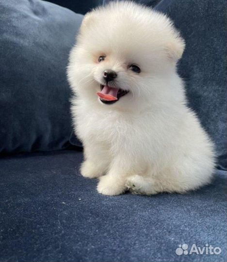 Резерв на снежков