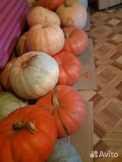 Продаю картофель с бесплатной доставкой