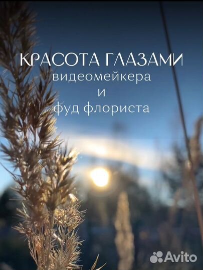 Видеомонтаж/ копирайтер/ оформление и ведение вк