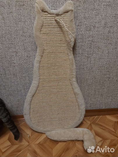 Когтеточка