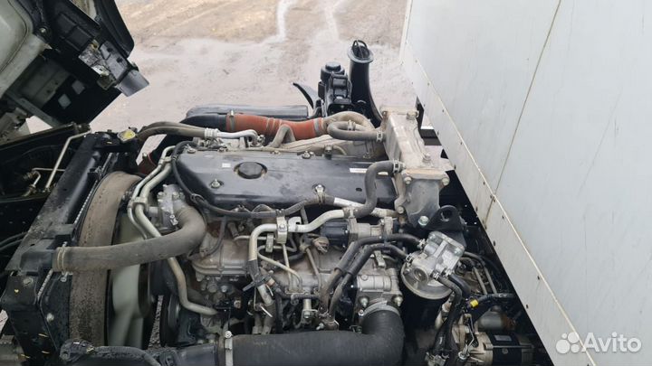 Isuzu ELF (N-series) изотермический, 2021