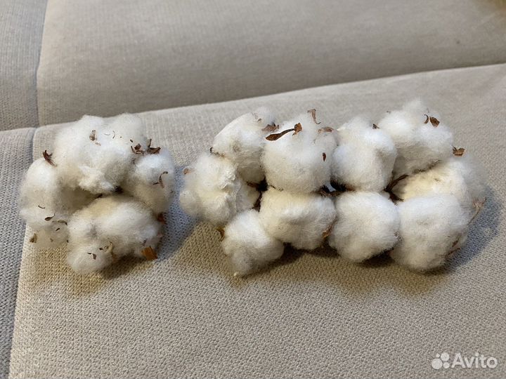 Хлопок коробочки натуральные для букета