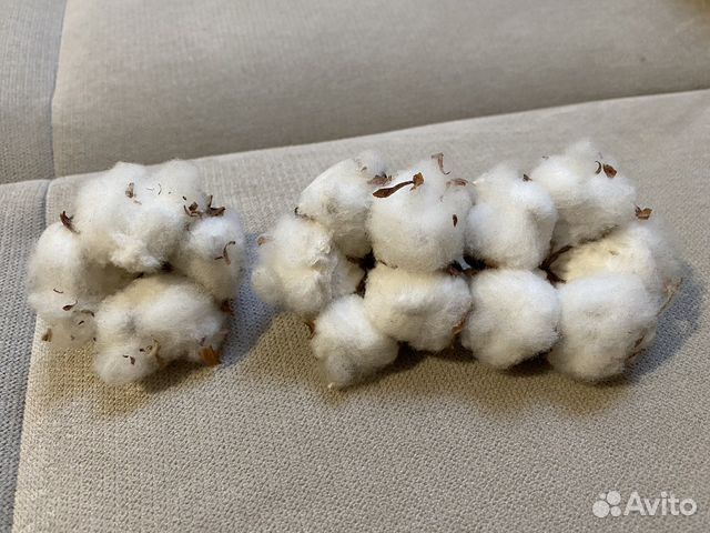 Хлопок коробочки натуральные для букета