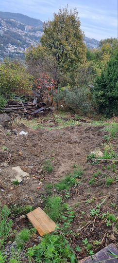 Участок 4,3 сот. (ИЖС)