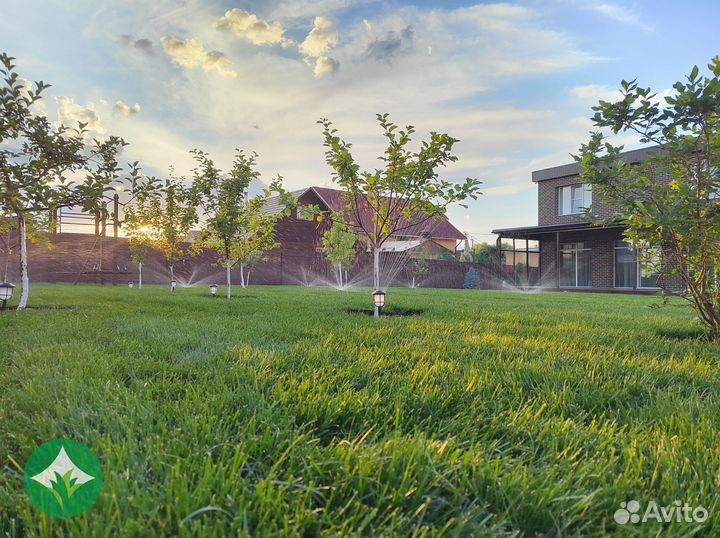 Рулонный газон