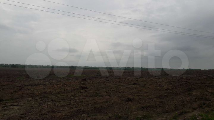 Участок 500 га (СНТ, ДНП)